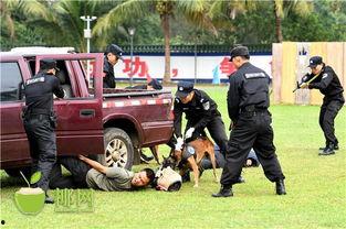 超级对抗最新爆料视频,揭秘神秘势力内幕  第1张