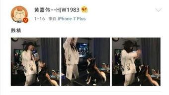 二次元吃瓜娱乐圈,二次元与娱乐圈的跨界吃瓜盛宴 第1张 二次元吃瓜娱乐圈,二次元与娱乐圈的跨界吃瓜盛宴 第1张